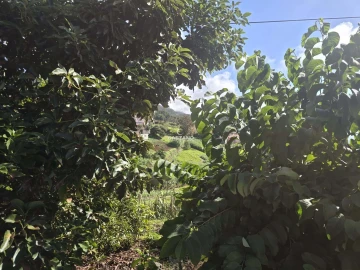 Terreno para Venda em Canhas