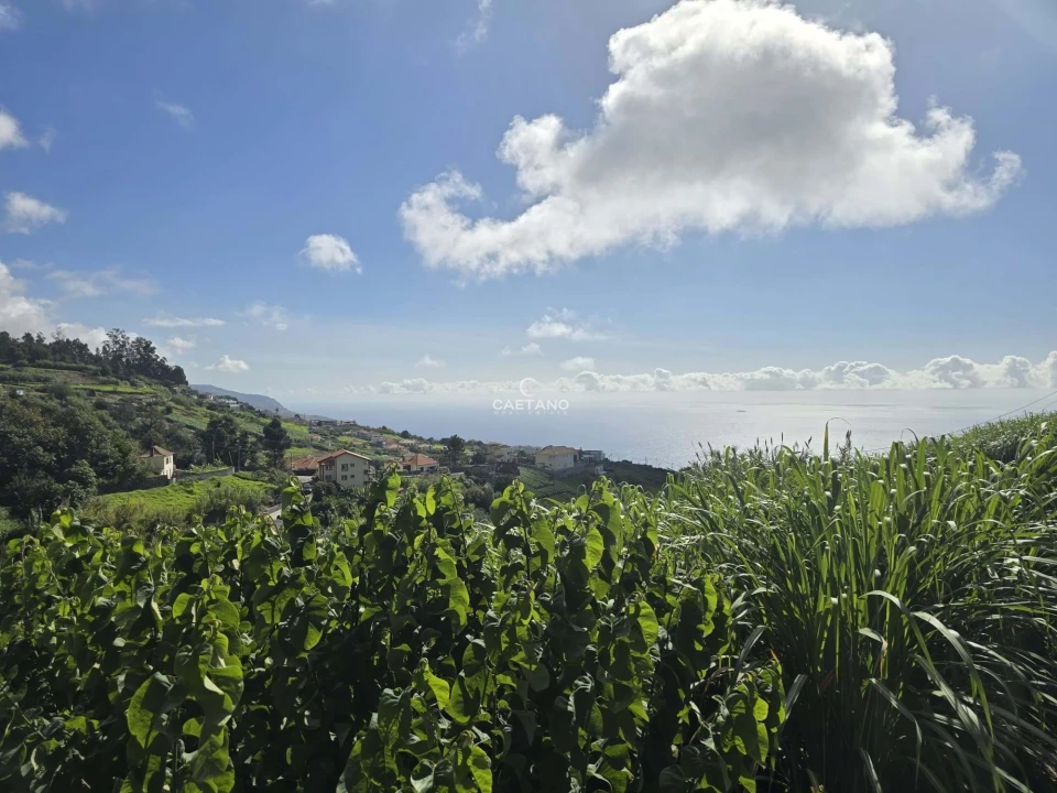 Terreno para Venda em Canhas Foto 25
