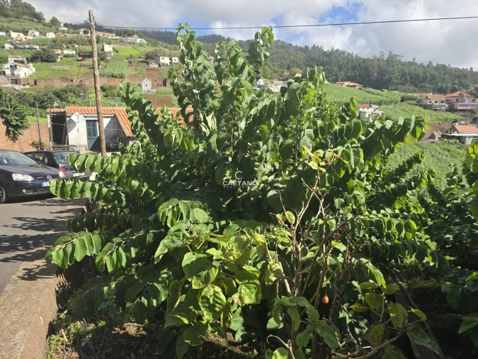 Terreno para Venda em Canhas Foto 11