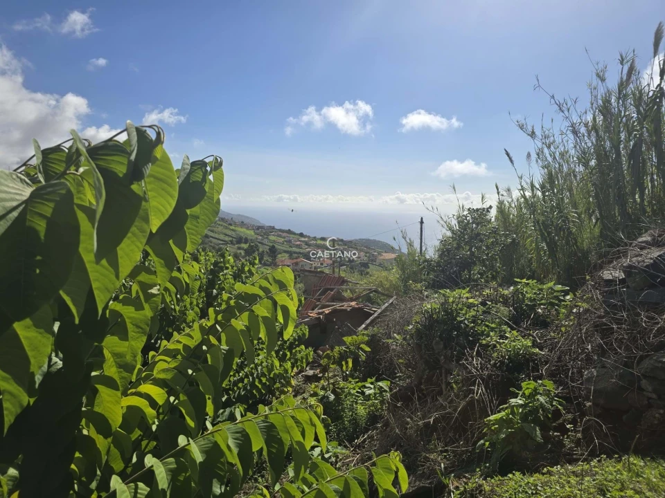 Terreno para Venda em Canhas Foto 9