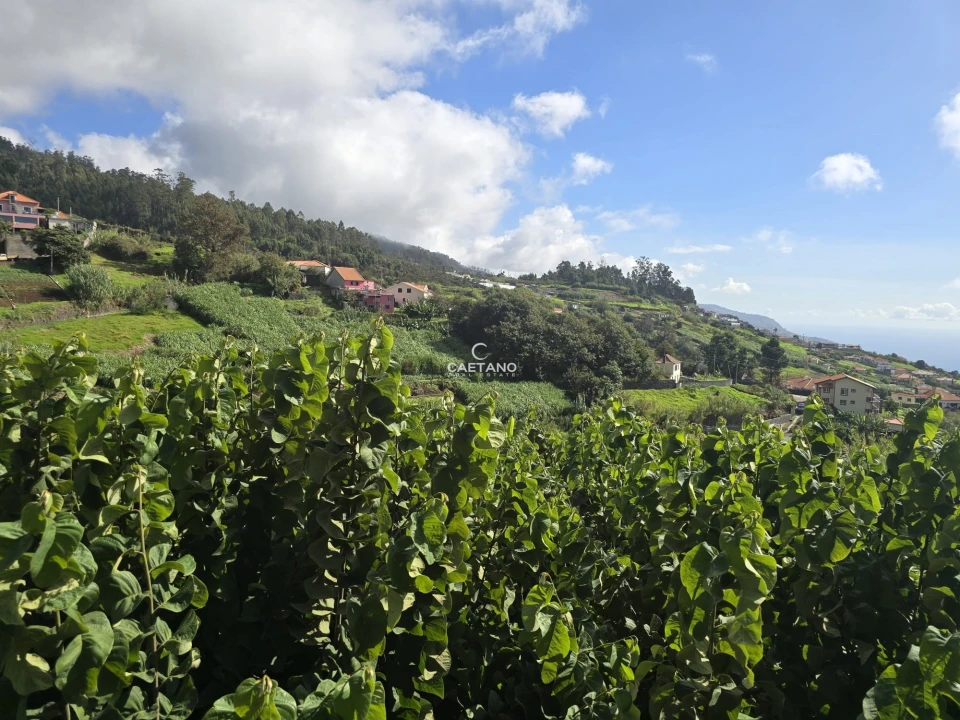 Terreno para Venda em Canhas Foto 24