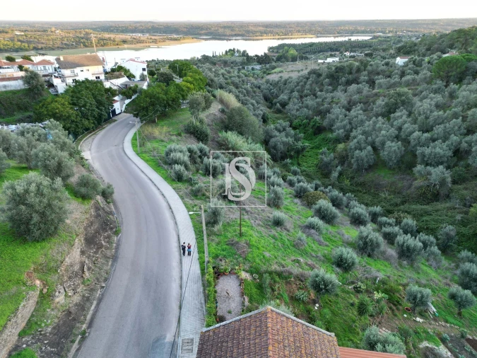 Terreno para Venda em Montargil Foto 6