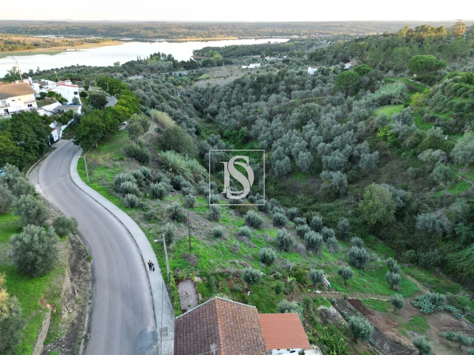 Terreno para Venda em Montargil Foto 7