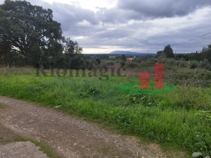 Terreno para Venda em São João da Ribeira e Ribeira de São João Foto 13