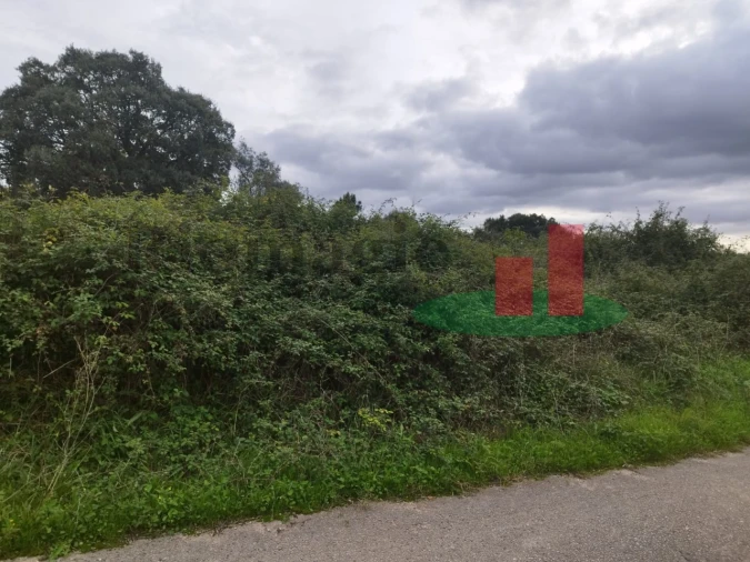 Terreno para Venda em São João da Ribeira e Ribeira de São João Foto 14