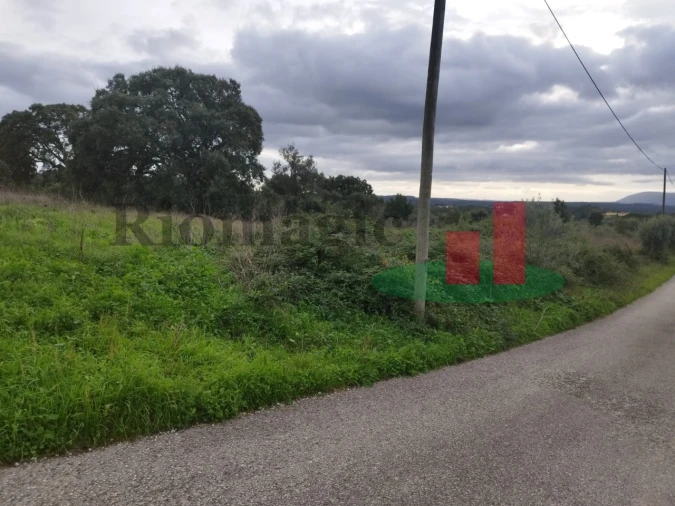 Terreno para Venda em São João da Ribeira e Ribeira de São João Foto 15