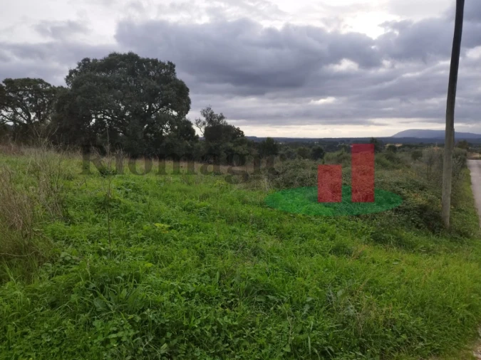 Terreno para Venda em São João da Ribeira e Ribeira de São João Foto 17