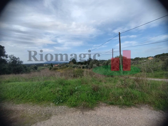 Terreno para Venda em São João da Ribeira e Ribeira de São João Foto 23
