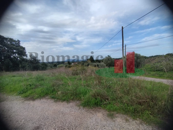 Terreno para Venda em São João da Ribeira e Ribeira de São João Foto 24