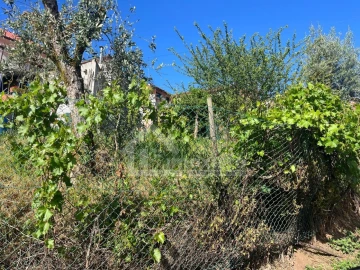 Moradia T3 para Venda em Aguda