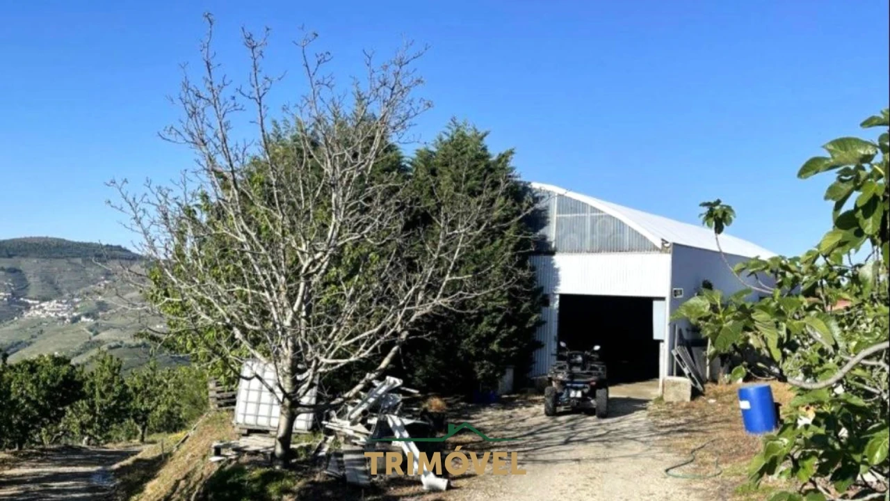 Quinta T7 para Venda em Penajoia Foto 5