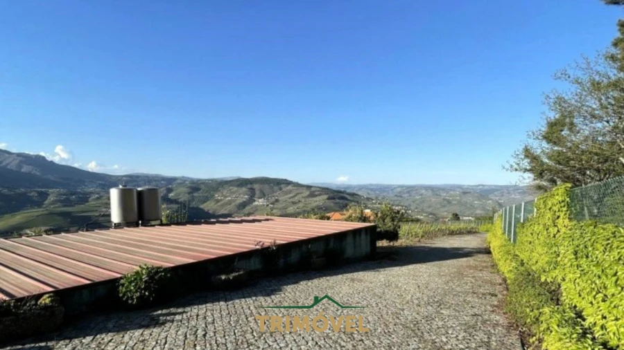 Quinta T7 para Venda em Penajoia Foto 7