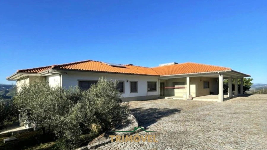 Quinta T7 para Venda em Penajoia Foto 1