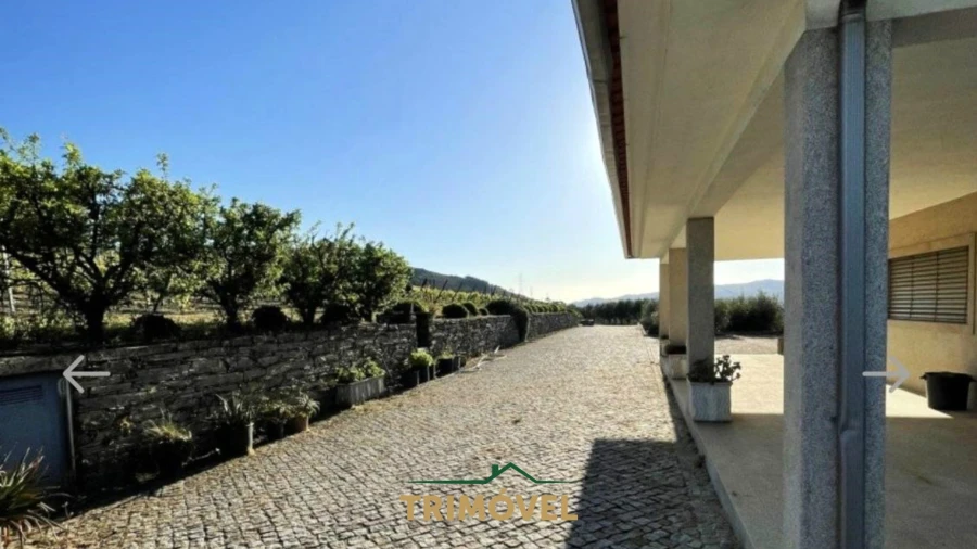 Quinta T7 para Venda em Penajoia Foto 3