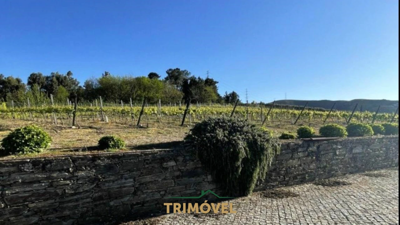 Quinta T7 para Venda em Penajoia Foto 6