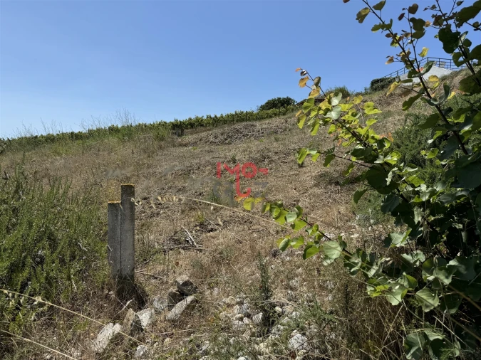 Terreno para Venda em Ponte do Rol Foto 11