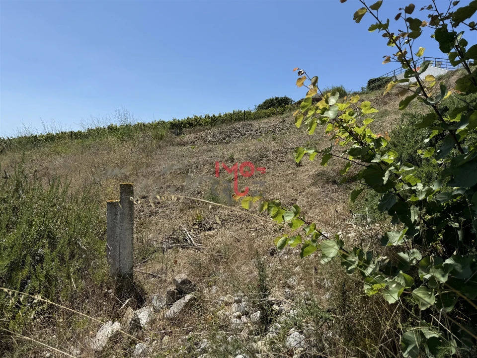 Terreno para Venda em Ponte do Rol Foto 11