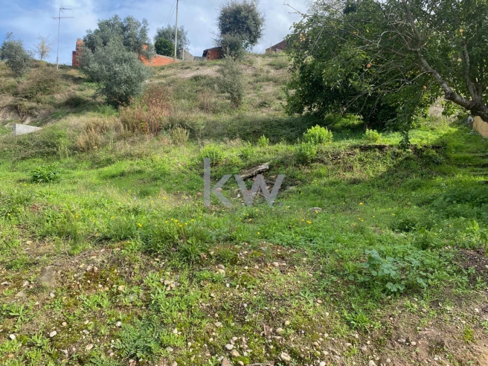 Moradia T2 para Venda em Santiago e São Simão de Litém e Albergaria dos Doze Foto 7