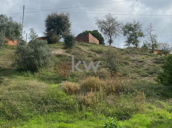 Moradia T2 para Venda em Santiago e São Simão de Litém e Albergaria dos Doze Foto 11