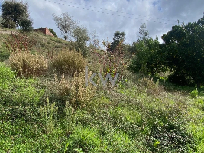 Moradia T2 para Venda em Santiago e São Simão de Litém e Albergaria dos Doze Foto 13