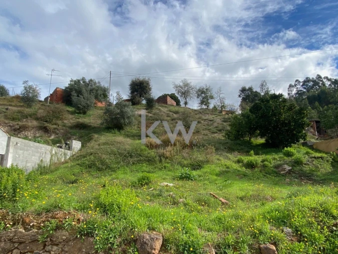 Moradia T2 para Venda em Santiago e São Simão de Litém e Albergaria dos Doze Foto 12