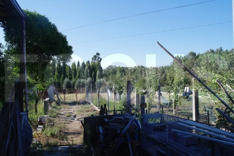 Moradia T2 para Venda em Bustos, Troviscal e Mamarrosa Foto 11