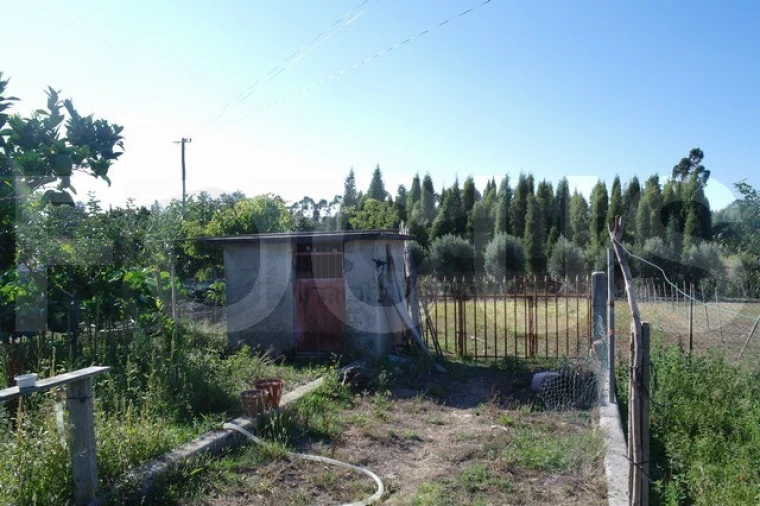 Moradia T2 para Venda em Bustos, Troviscal e Mamarrosa Foto 12