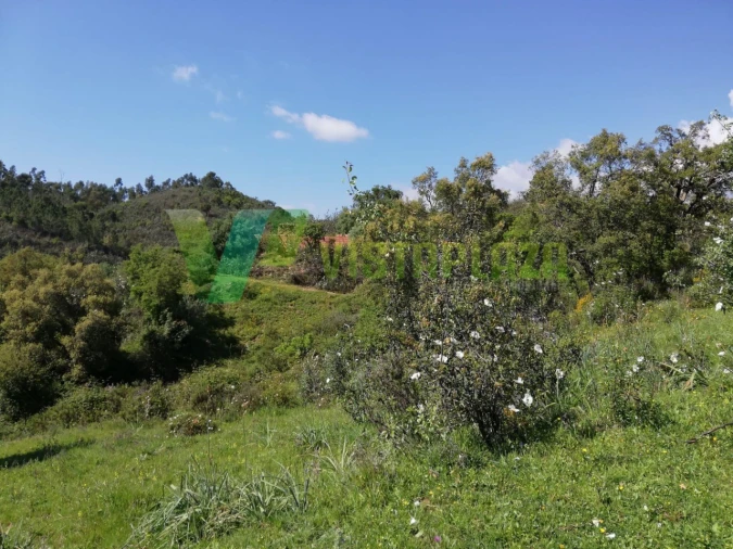 Terreno Misto para Venda em Marmelete Foto 7