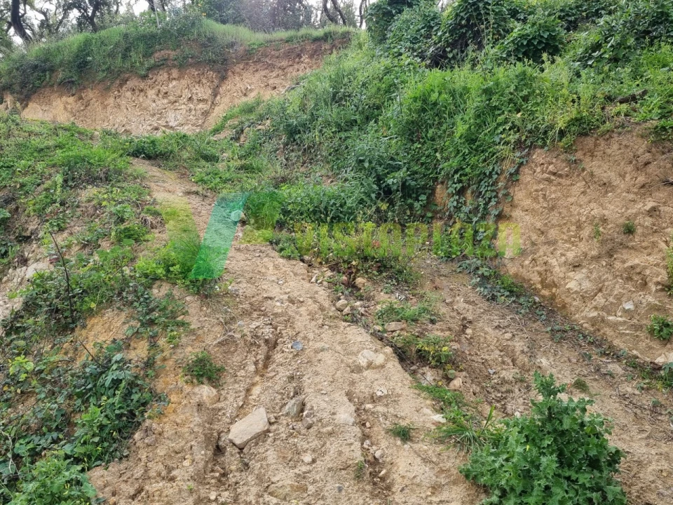 Terreno Misto para Venda em Monchique Foto 8