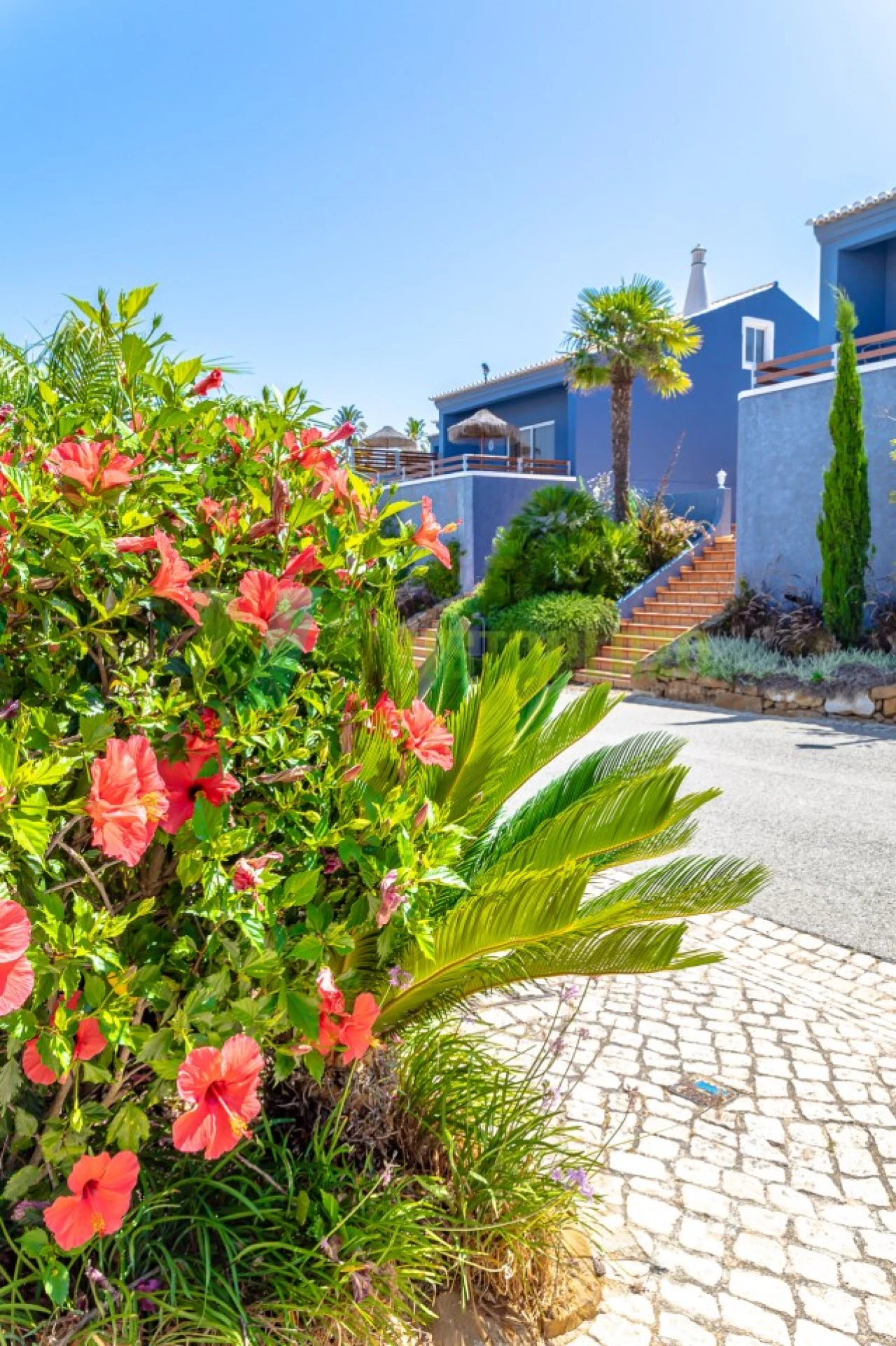 Negócio para Venda em Luz Foto 25
