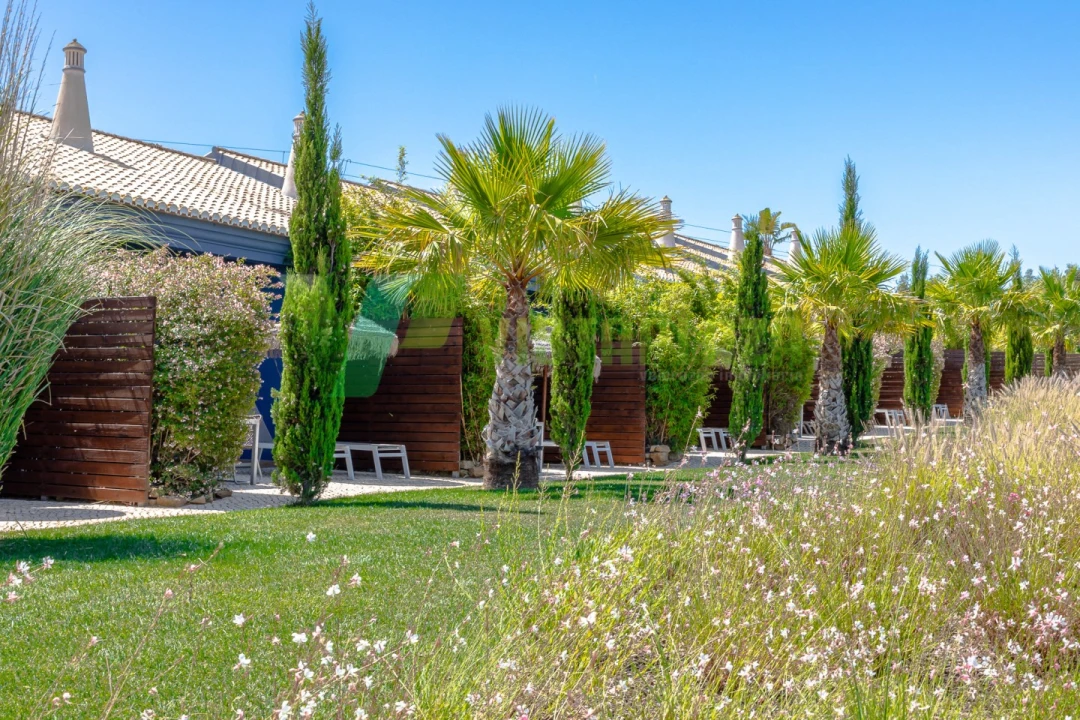 Negócio para Venda em Luz Foto 32