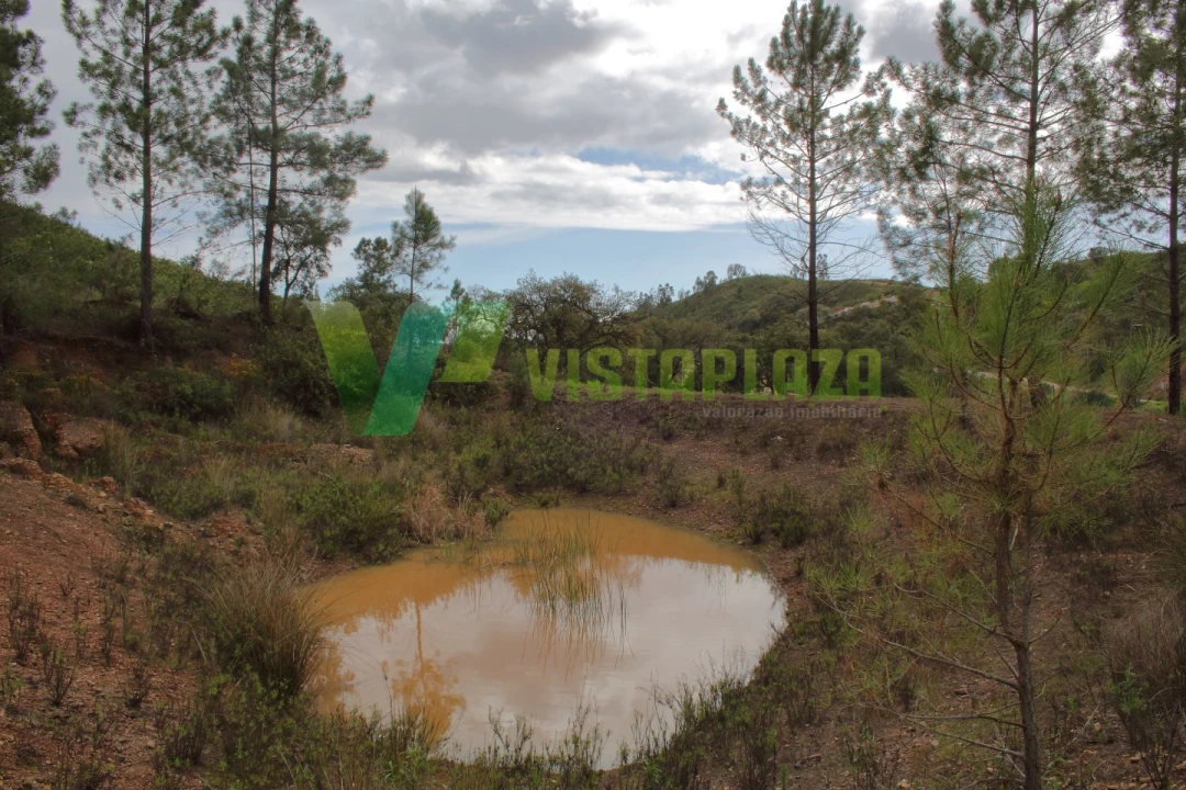 Terreno Agricola ou Rústico para Venda em Mexilhoeira Grande Foto 3