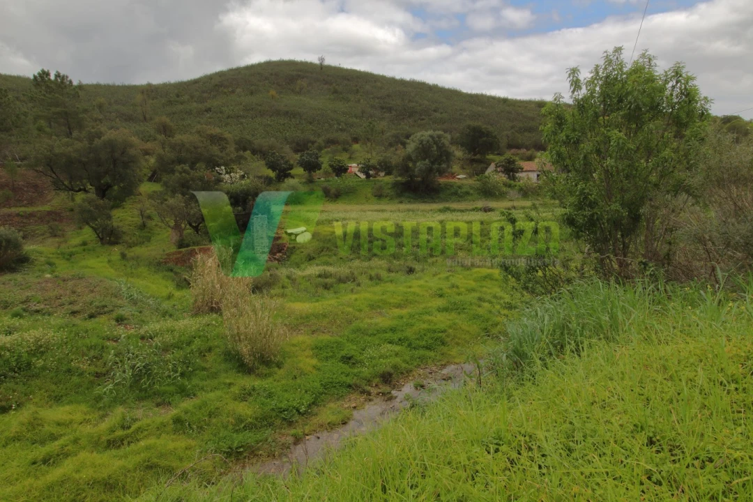 Terreno Agricola ou Rústico para Venda em Mexilhoeira Grande Foto 1