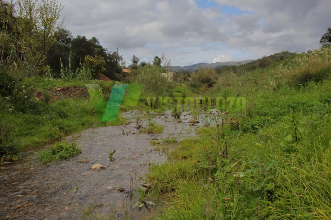Terreno Agricola ou Rústico para Venda em Mexilhoeira Grande Foto 9