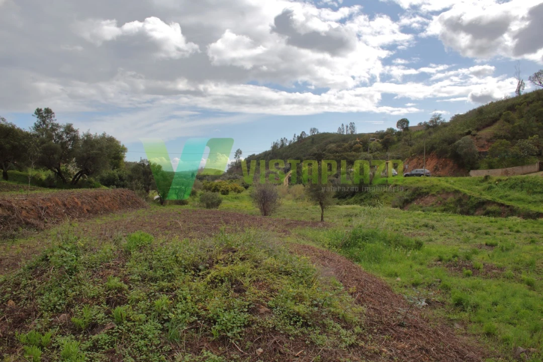 Terreno Agricola ou Rústico para Venda em Mexilhoeira Grande Foto 11