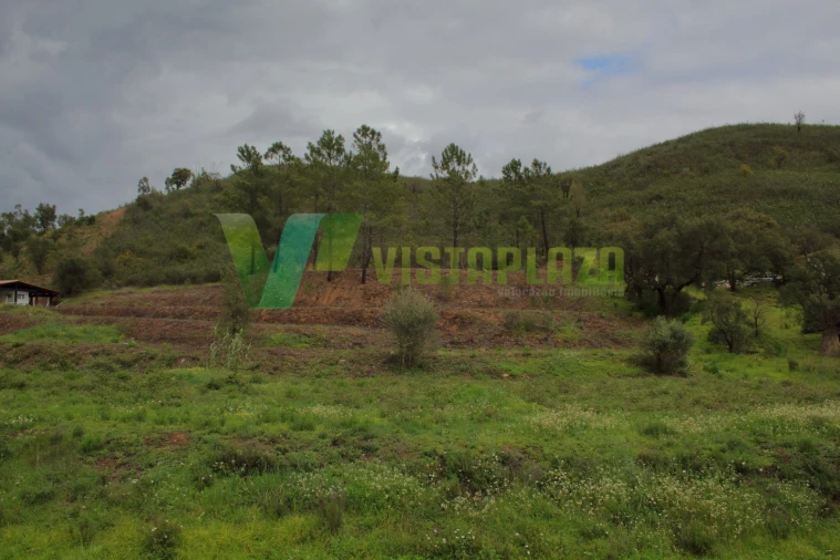 Terreno Agricola ou Rústico para Venda em Mexilhoeira Grande Foto 7