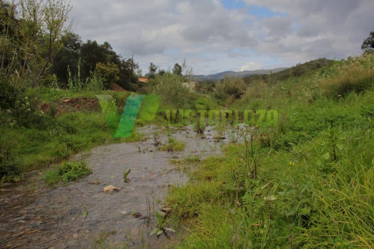 Terreno Agricola ou Rústico para Venda em Mexilhoeira Grande Foto 9