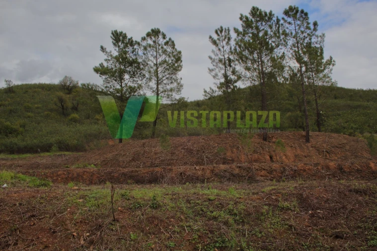 Terreno Agricola ou Rústico para Venda em Mexilhoeira Grande Foto 10