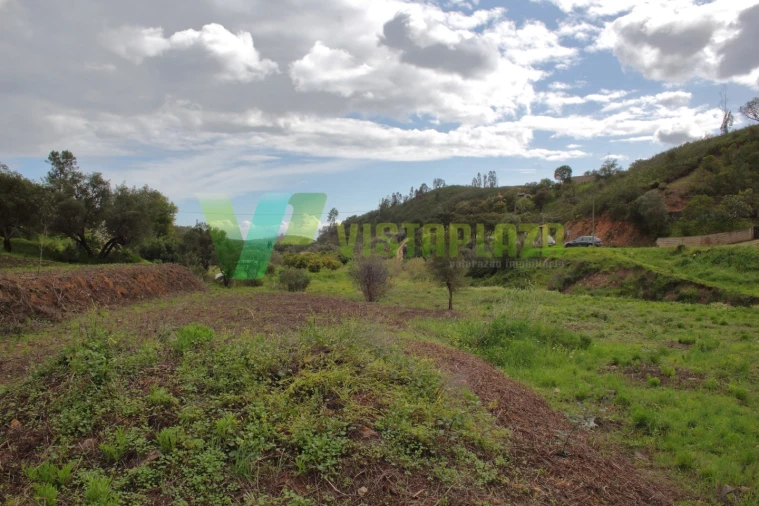 Terreno Agricola ou Rústico para Venda em Mexilhoeira Grande Foto 11