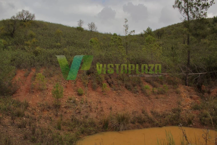 Terreno Agricola ou Rústico para Venda em Mexilhoeira Grande Foto 12