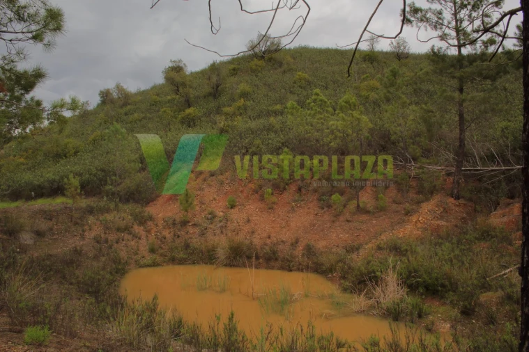 Terreno Agricola ou Rústico para Venda em Mexilhoeira Grande Foto 13