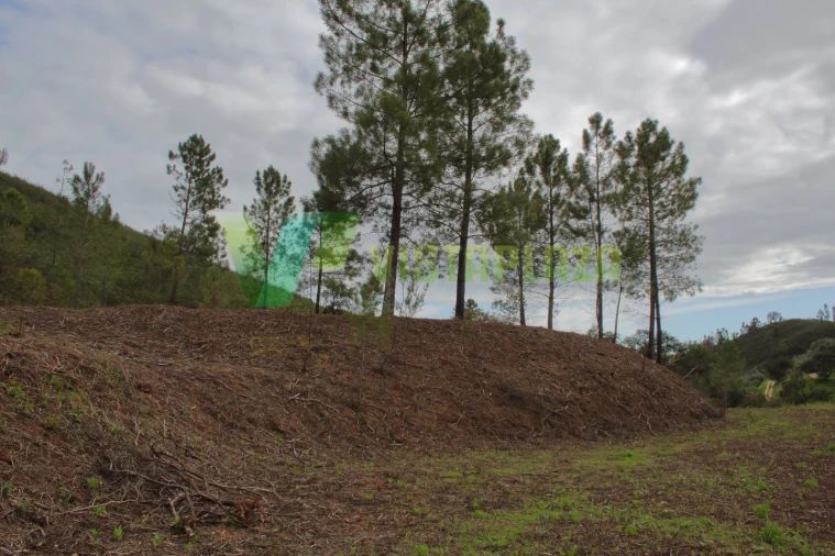 Terreno Agricola ou Rústico para Venda em Mexilhoeira Grande Foto 15
