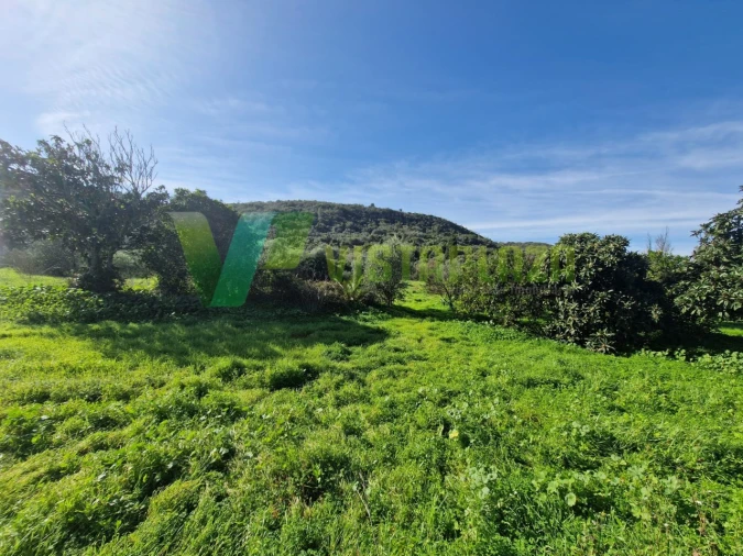 Terreno Misto para Venda em Bensafrim e Barão de São João Foto 7