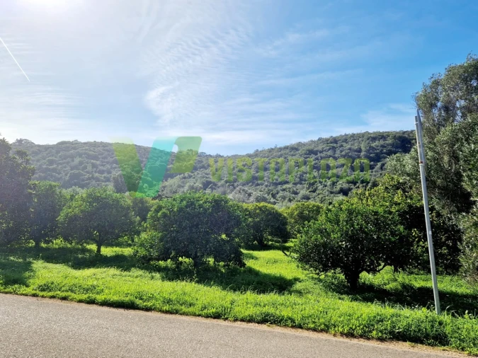 Terreno Misto para Venda em Bensafrim e Barão de São João Foto 9