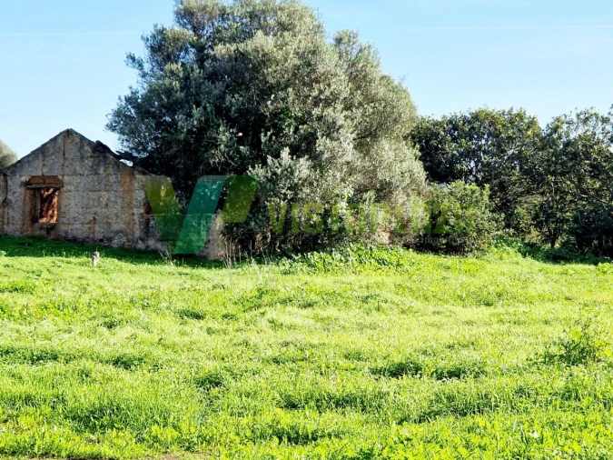 Terreno Misto para Venda em Bensafrim e Barão de São João Foto 11
