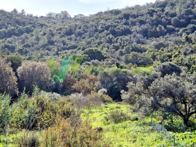 Terreno Misto para Venda em Bensafrim e Barão de São João Foto 12