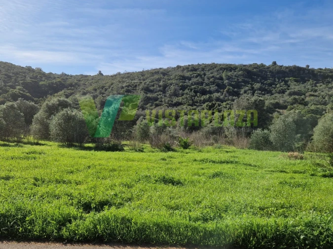 Terreno Misto para Venda em Bensafrim e Barão de São João Foto 13