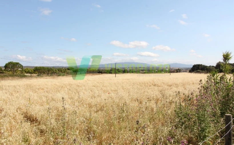 Terreno Misto para Venda em Odiaxere Foto 8