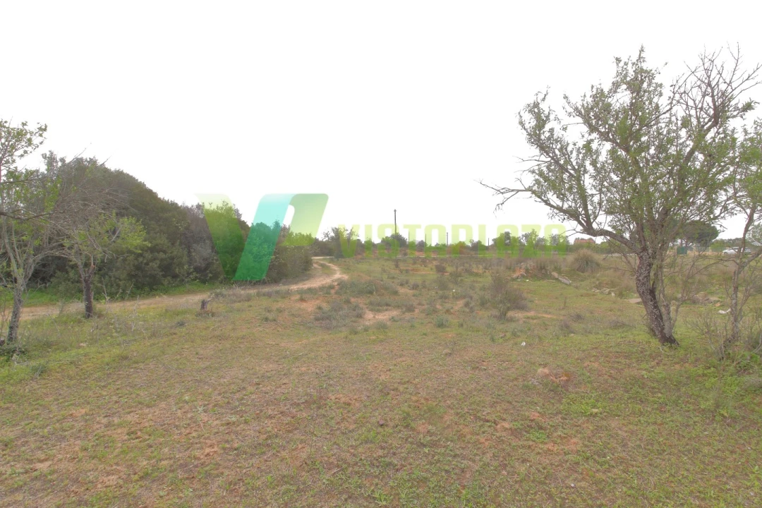 Terreno Misto para Venda em Silves Foto 3
