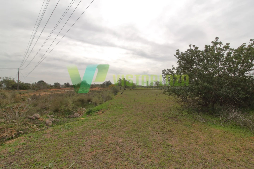 Terreno Misto para Venda em Silves Foto 7